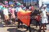 Kambala Ban Protest in Mangaluru: Buffaloes march on city roads